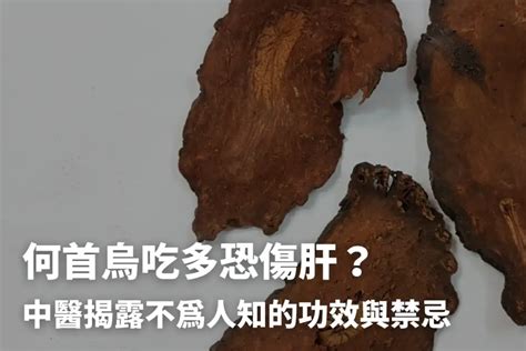 何首烏價錢|何首烏秋冬進補怎麼吃？醫列功效禁忌＋何首烏藥膳做。